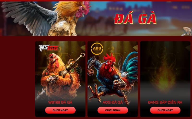 Hello88 - Cổng game nhà cái giải trí uy tín tại Châu Á 11 Đá gà online