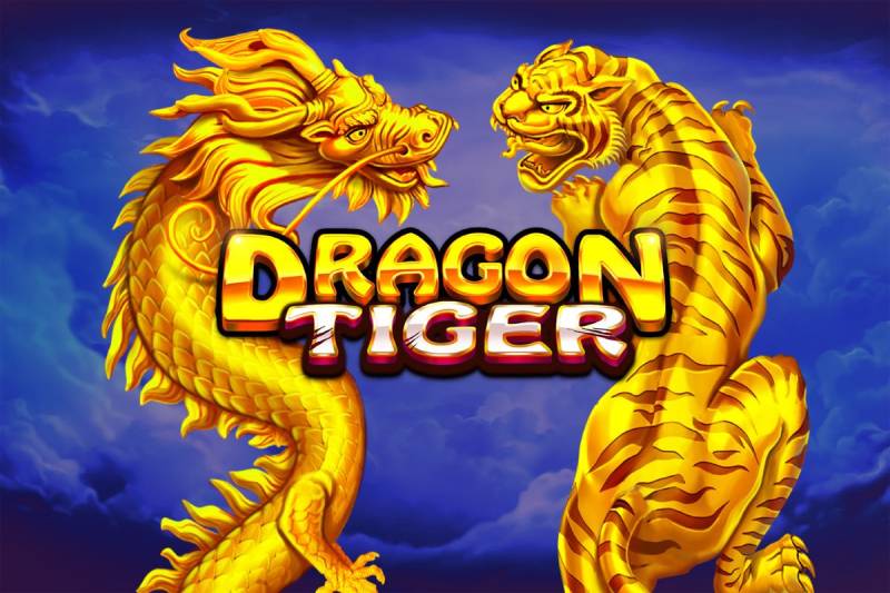 Rồng Hổ là gì?